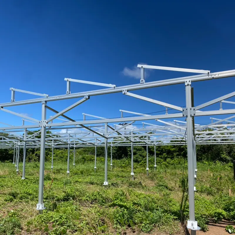 Solarparks: zukünftige Stars der grünen Energie