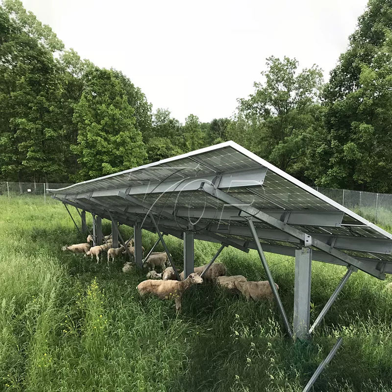 Sonnenkollektoren für landwirtschaftliche Betriebe: Helfen Sie dabei, die Nachhaltigkeit der landwirtschaftlichen Energie auf ein höheres Niveau zu heben!