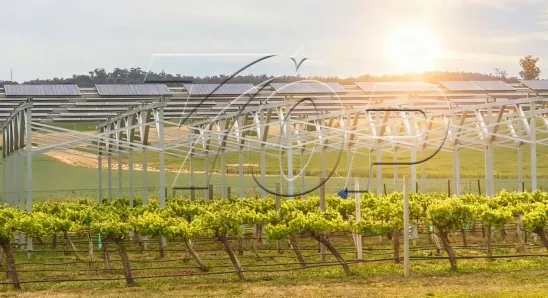 Agrivoltaics Solar Mount System